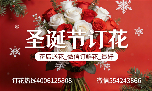 濮阳花店送花_微信订鲜花_圣诞节订花_最好? 濮阳花店